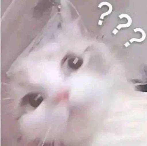 Ảnh 1/5